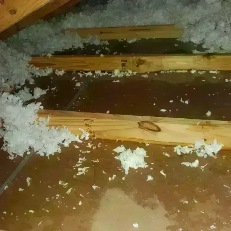 Attic Water Damage in Covington, VA