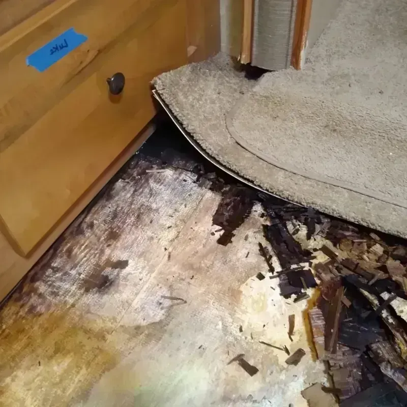 Wood Floor Water Damage in Covington, VA